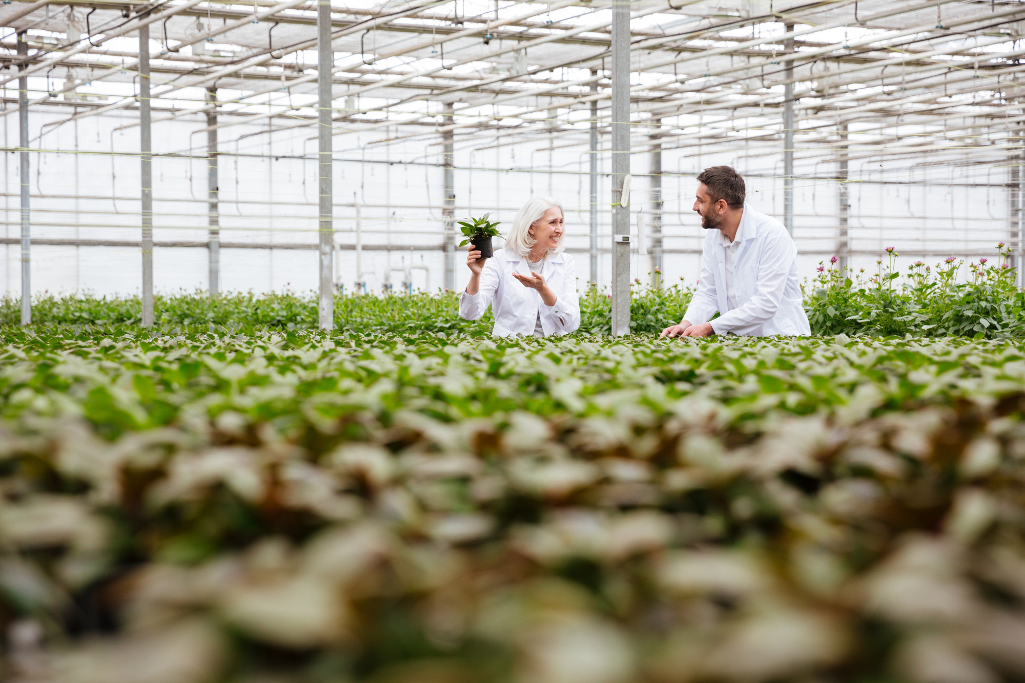 L’impact des innovations sur l’industrie agroalimentaire