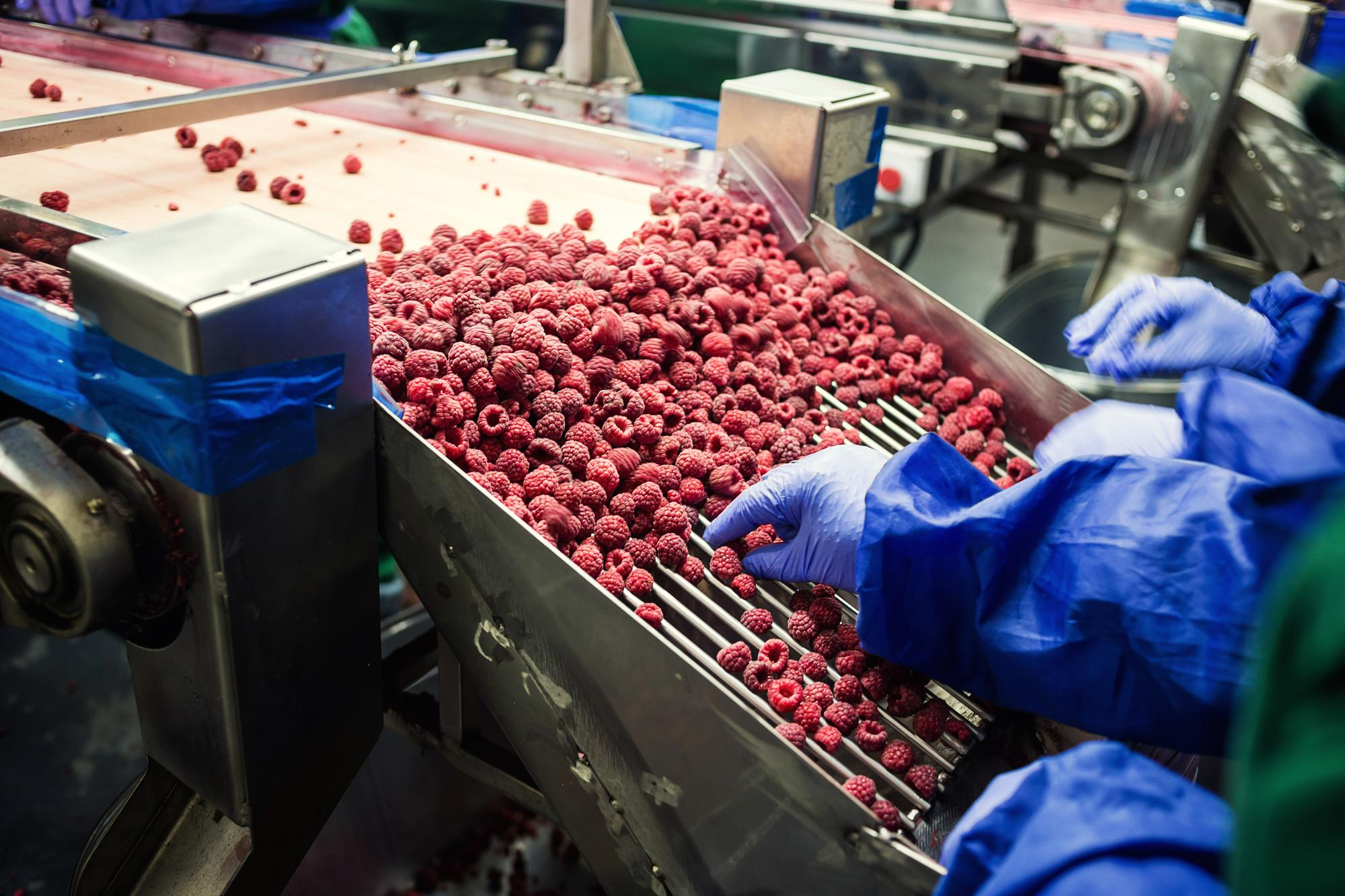 La durabilité l’enjeu incontournable du secteur agroalimentaire